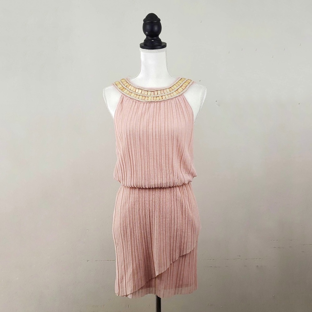 NWT Chelsea & Violet Pink Rollar Girl Dress